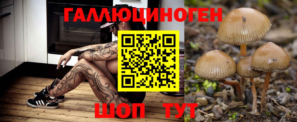Галлюциногенные грибы GOLDEN TEACHER Киселёвск