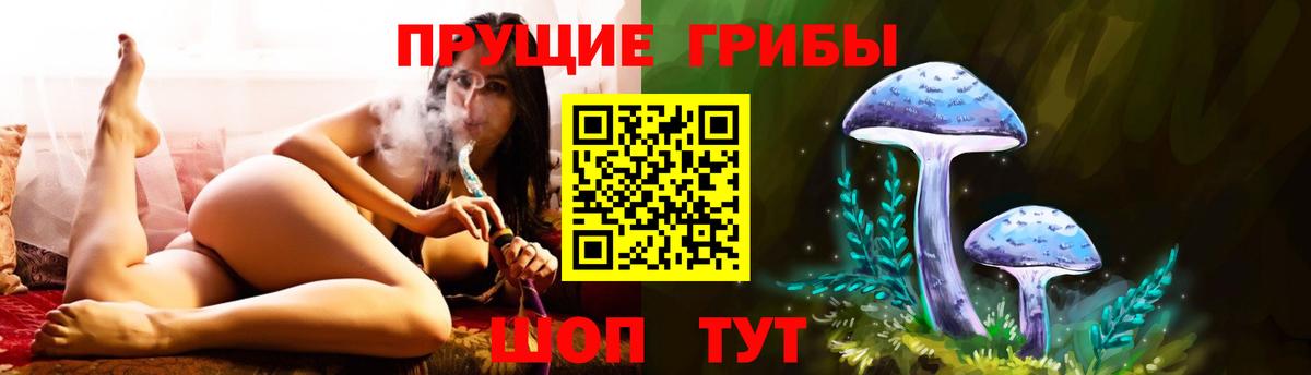Киселёвск  Галлюциногенные грибы Psilocybine cubensis  Вход с VPN  Галлюциногенные грибы прущие грибы 